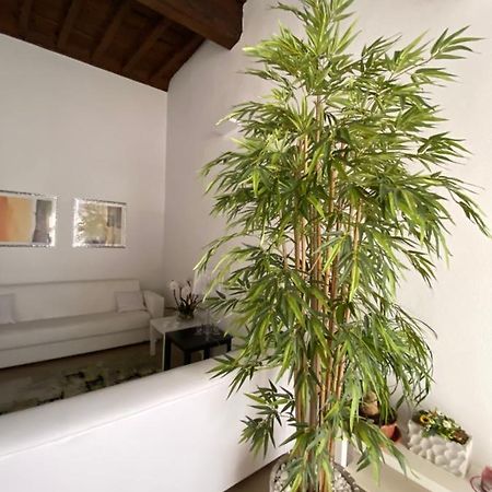 Suite Saffi 99 Viterbo Bagian luar foto