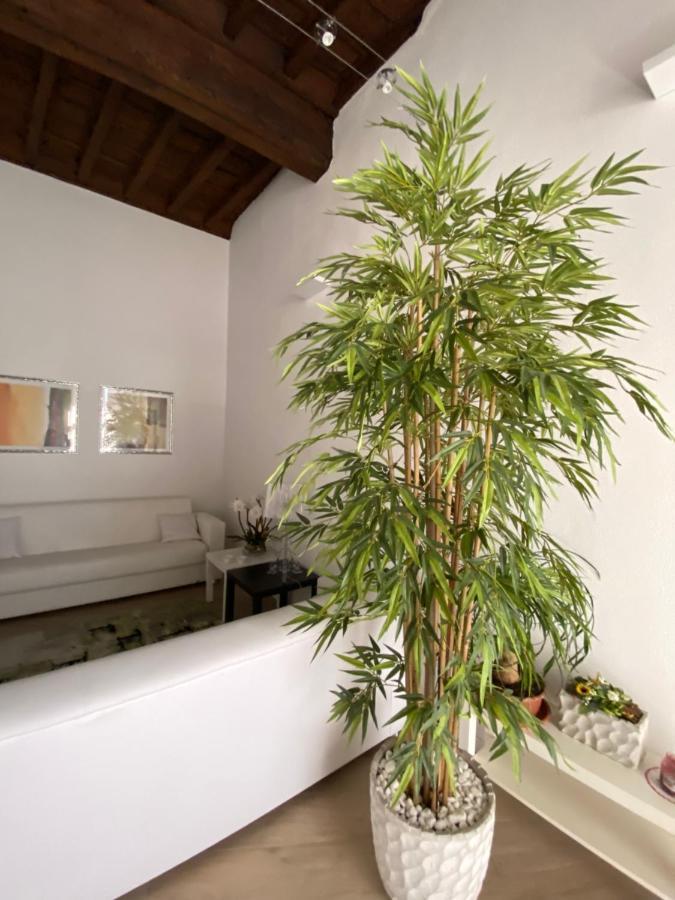 Suite Saffi 99 Viterbo Bagian luar foto